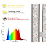 Led Grow Light Manufacturer - OEM Hot Sale 1000w Full Spectrum High PPFD