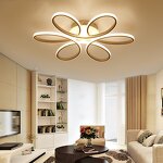 Flower Ceiling Lamp Manufacturer - OEM Minimalist Creative Ring Hanging Light