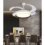 Ceiling Fan Manufacturer - OEM Best Price E26 Modern Remote Control Light