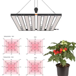Led Grow Light Manufacturer - OEM Hot Sale 1000w Full Spectrum High PPFD