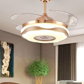 Gold Ceiling Fan Manufacturer - OEM Hot Sale Indoor Decoration Fancy Lights