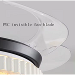 Black Ceiling Fan Manufacturer - OEM Modern Pendant Retractable Blade Three Colors