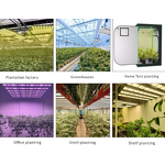 Grow Light Factory - OEM Full Spectrum IP65 Blue Red Indoor Plants