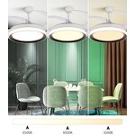 Remote Ceiling Fan Factory - OEM Modern 42 Inch 3 Blade LED Light