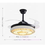 Black Ceiling Fan Manufacturer - OEM Modern Pendant Retractable Blade Three Colors