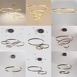 Ring Pendant Light Factory - OEM Gold Modern Linear Stainless Steel LED