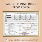 Hair Care 500ml Organic Anti Hair Loss Plant Extract Professional Hair Growth Fluffy Refresh Repair Shampoo