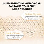 Caviar Skincare Nourishing Collagen Boosting Firming Brightening Cleanser Cream Foundation Caviar Skincare Set for Anti-Aging