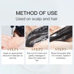 OKADY 500ml Ginger Arborvitae Leaf Brightening Oil-control Hair-Loss Prevention Hair-Repairing Shampoo