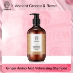 Hair Care 500ml Organic Anti Hair Loss Plant Extract Professional Hair Growth Fluffy Refresh Repair Shampoo