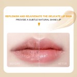 Private Label Wholesale Moisturizing Protective Barrier Nourishing Tube Lip Oil Gel Lip Balm