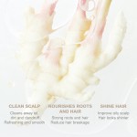 OKADY 500ml Ginger Arborvitae Leaf Brightening Oil-control Hair-Loss Prevention Hair-Repairing Shampoo