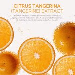 Whitening Face Cream Factory - Hot Sale Fenyi Vitamin C 40g Reduce Spots