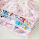 Girls Panties Factory - Wholesale Cotton Soft Cute Breathable Teenagers