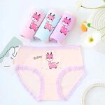 Girls Panties Factory - OEM/ODM Angel Summer Thin Cute Baby Breathable