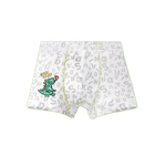 Boys Boxer Briefs Factory - OEM/ODM Popular Carton Design Comfortable Soft
