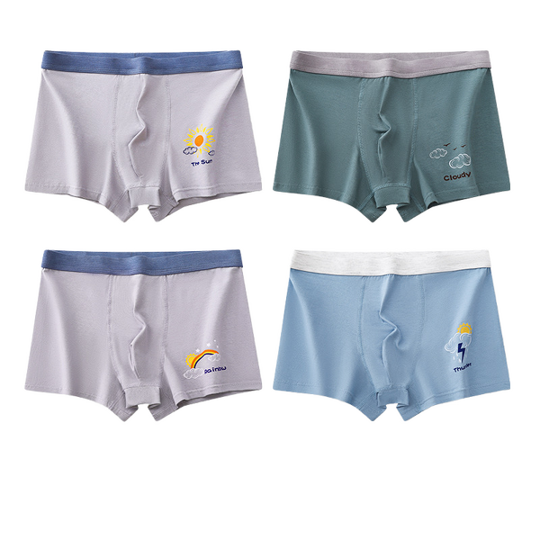 Boys Boxer Briefs Factory - OEM/ODM Simply Soft Breathable Teenager Design