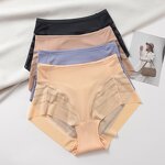 Women's Panties Factory - OEM/ODM Custom Sexy Mesh Mid-Waist Hollow