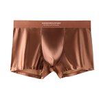 Men's Boxers Factory - OEM/ODM Custom Luxury Satin Ice Silk Briefs