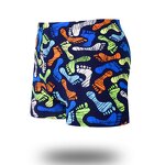 Swim Trunks Factory - OEM/ODM Custom Youth Sport Quick-Dry Breathable Comfortable
