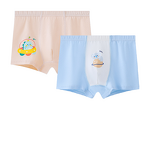 Boys Boxer Briefs Factory - OEM/ODM Cute Comfortable Carton Design Teenagers