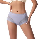 Women's Panties Factory - OEM/ODM Custom Sexy Mesh Mid-Waist Hollow