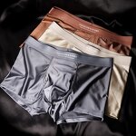 Men's Boxers Factory - OEM/ODM Custom Luxury Satin Ice Silk Briefs