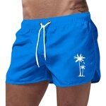 Swim Trunks Factory - OEM/ODM Custom Sport Comfortable Quick-Dry Outdoor Adult