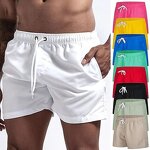 Swim Trunks Factory - OEM/ODM Custom Quick Dry Beach Shorts for Men