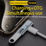 USB C Converter Factory - OEM 2 in 1 PD 100W OTG 10Gbps Data Transmission