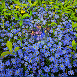 Solar Garden Light Manufacturer - OEM High Quality Butterfly Grass Decorative