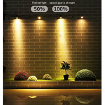 Solar Garden Light Factory - OEM Affordable Outdoor Motion Sensor LED