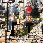 Solar Parrot Light Factory - OEM LED Resin Bird Decorative for Garden Lawn