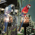 Solar Parrot Light Factory - OEM LED Resin Bird Decorative for Garden Lawn