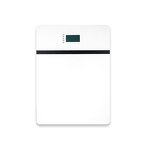 Wall-Mounted Battery Manufacturer - OEM 51.2V 100Ah 5.12Kwh Solar IP54