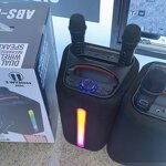 Portable Outdoor Speaker Factory - OEM 6.5inch Wireless 2 Mic Karaoke DJ