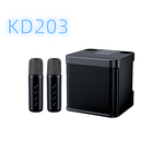 Outdoor DJ Microphone Speaker Factory - Reasonable Price Portable Party