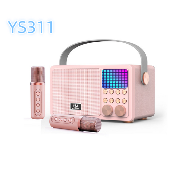 Outdoor Microphone Speaker Factory - High Quality Wholesale Portable DJ Ys311