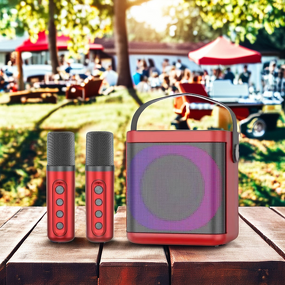 Wireless Microphone Speaker Factory - Hot Sale Portable Party Speaker