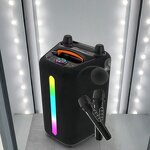 Portable Outdoor Speaker Factory - OEM 6.5inch Wireless 2 Mic Karaoke DJ