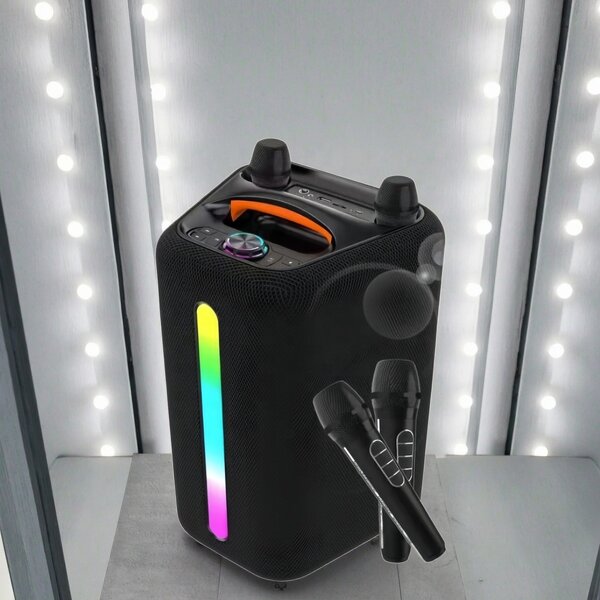 Portable Outdoor Speaker Factory - OEM 6.5inch Wireless 2 Mic Karaoke DJ