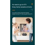 Karaoke Microphone Factory - 2025 New P10 BT Portable Speaker