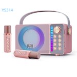 Microphone Speaker Factory - Manufacturer Supplier Outdoor Waterproof DJ Ys314