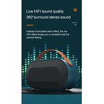 Karaoke Microphone Factory - 2025 New P10 BT Portable Speaker