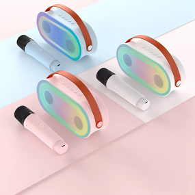 Portable LED Speaker Factory - P6 with 2 Wireless Mics Outdoor Home