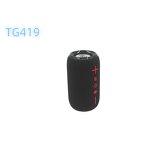 Outdoor Party Speaker Factory - Lower Price Portable BT TG419