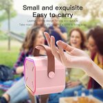 Portable Karaoke Speaker Factory - Best Gift LED Mini with 2 Wireless Mics