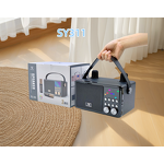 Outdoor Microphone Speaker Factory - High Quality Wholesale Portable DJ Ys311
