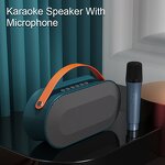 Karaoke Microphone Factory - 2025 New P10 BT Portable Speaker