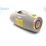 Party Speaker Factory - OEM/ODM Professional Manufacturer 15 Inch TG427